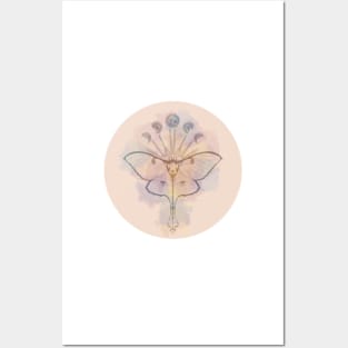 luna moth (round) Posters and Art